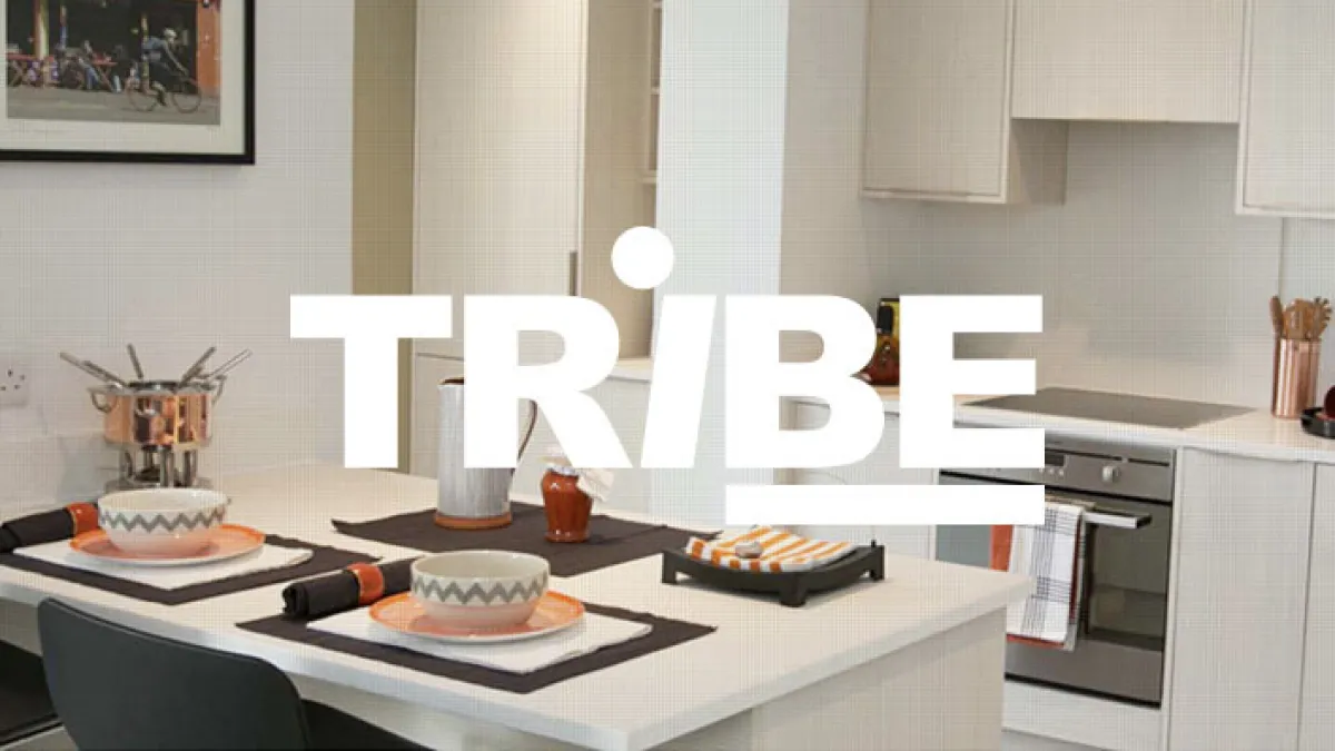 Tribe